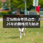 足坛转会市场动态：2026年的新格局与秘密