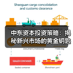 中东资本投资策略:揭秘新兴市场的黄金钥匙(图3) 中东资本投资策略:揭秘新兴市场的黄金钥匙(图3)