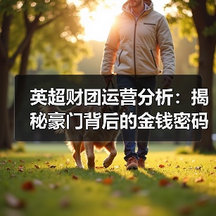 英超财团运营分析：揭秘豪门背后的金钱密码