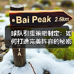 球队引援策略制定：如何打造完美阵容的秘密武器（图4）