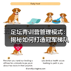 足坛青训营管理模式：揭秘如何打造冠军梯队（图3）
