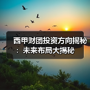 西甲财团投资方向揭秘:未来布局大揭秘(图3) 西甲财团投资方向揭秘:未来布局大揭秘(图3)