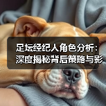 足坛经纪人角色分析:深度揭秘背后策略与影响力(图1) 足坛经纪人角色分析:深度揭秘背后策略与影响力(图1)