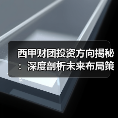 西甲财团投资方向揭秘：深度剖析未来布局策略（图2）