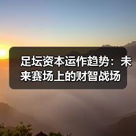 足坛资本运作趋势:未来赛场上的财智战场(图2) 足坛资本运作趋势:未来赛场上的财智战场(图2)