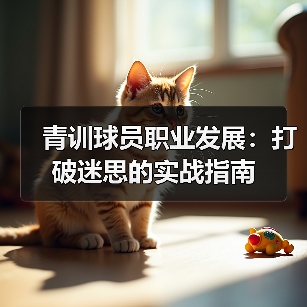 青训球员职业发展:打破迷思的实战指南(图3) 青训球员职业发展:打破迷思的实战指南(图3)
