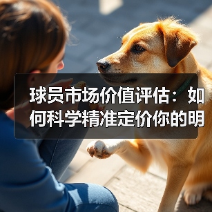 球员市场价值评估：如何科学精准定价你的明星球员（图3）