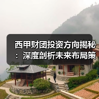 西甲财团投资方向揭秘：深度剖析未来布局策略（图3）