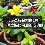 【球员转会案例分析:深度揭秘背后的成功密码】(图4) 【球员转会案例分析:深度揭秘背后的成功密码】(图4)