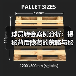 球员转会案例分析：揭秘背后隐藏的策略与秘密（图3）