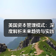 美国资本管理模式:深度解析未来趋势与实践经验(图4) 美国资本管理模式:深度解析未来趋势与实践经验(图4)