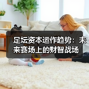 足坛资本运作趋势:未来赛场上的财智战场(图3) 足坛资本运作趋势:未来赛场上的财智战场(图3)