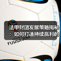 法甲财团发展策略揭秘：如何打造持续赢利的足球帝国