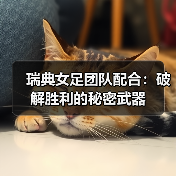瑞典女足团队配合：破解胜利的秘密武器（图2）