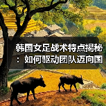 韩国女足战术特点揭秘:如何驱动团队迈向国际顶尖(图4) 韩国女足战术特点揭秘:如何驱动团队迈向国际顶尖(图4)