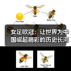 女足欧冠：让世界为中国崛起喝彩的历史长河（图3）