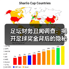 足坛财务丑闻调查:揭开足球奖金背后的隐秘真相(图2) 足坛财务丑闻调查:揭开足球奖金背后的隐秘真相(图2)