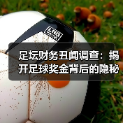 足坛财务丑闻调查：揭开足球奖金背后的隐秘真相 - 西汉姆联足球俱乐部中文粉丝网