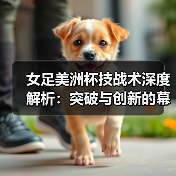 女足美洲杯技战术深度解析:突破与创新的幕后秘密(图4) 女足美洲杯技战术深度解析:突破与创新的幕后秘密(图4)