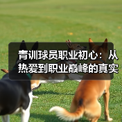 青训球员职业初心：从热爱到职业巅峰的真实指南（图2）