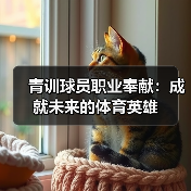 青训球员职业奉献：成就未来的体育英雄（图3）