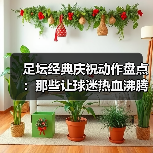 足坛经典庆祝动作盘点:那些让球迷热血沸腾的瞬间(图4) 足坛经典庆祝动作盘点:那些让球迷热血沸腾的瞬间(图4)