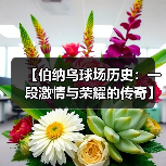 【伯纳乌球场历史:一段激情与荣耀的传奇】(图2) 【伯纳乌球场历史:一段激情与荣耀的传奇】(图2)