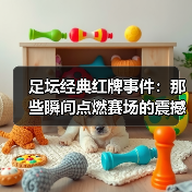 足坛经典红牌事件:那些瞬间点燃赛场的震撼时刻(图3) 足坛经典红牌事件:那些瞬间点燃赛场的震撼时刻(图3)