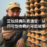 足坛经典队徽演变：从符号到传奇的背后故事 - 西汉姆联足球俱乐部中文粉丝网