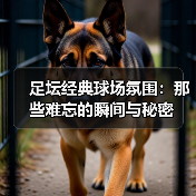 足坛经典球场氛围：那些难忘的瞬间与秘密 - 西汉姆联足球俱乐部中文粉丝网
