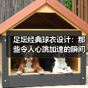 足坛经典球衣设计:那些令人心跳加速的瞬间(图2) 足坛经典球衣设计:那些令人心跳加速的瞬间(图2)
