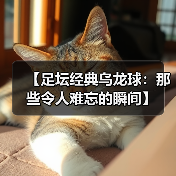 【足坛经典乌龙球：那些令人难忘的瞬间】（图2）