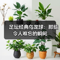 足坛经典乌龙球：那些令人难忘的瞬间（图3）