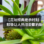 【足坛经典绝杀时刻:那些让人热泪盈眶的瞬间】(图3) 【足坛经典绝杀时刻:那些让人热泪盈眶的瞬间】(图3)