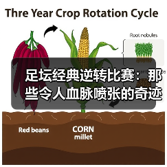 足坛经典逆转比赛:那些令人血脉喷张的奇迹瞬间(图1) 足坛经典逆转比赛:那些令人血脉喷张的奇迹瞬间(图1)