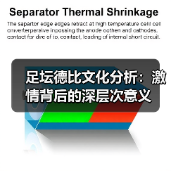 足坛德比文化分析:激情背后的深层次意义(图1) 足坛德比文化分析:激情背后的深层次意义(图1)