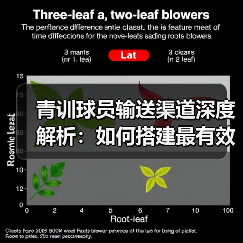 青训球员输送渠道深度解析：如何搭建最有效的路径（图2）