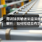 青训球员输送渠道深度解析：如何搭建最有效的路径（图4）