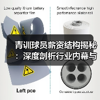 青训球员薪资为何悬殊？2026年趋势大揭秘-玄熵西汉姆联 - 玄熵西汉姆联
