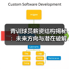 青训球员薪资结构揭秘:未来方向与潜在破解之道(图2) 青训球员薪资结构揭秘:未来方向与潜在破解之道(图2)