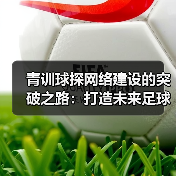 青训球探网络建设的突破之路：打造未来足球的黄金引擎（图3）