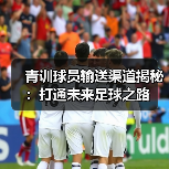 青训球员输送渠道揭秘：打通未来足球之路（图2）