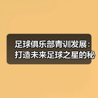 足球俱乐部青训发展：打造未来足球之星的秘密武器 - 玄熵西汉姆联