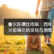 鲁尔区德比传统：百年火焰背后的文化与激情（图2）