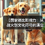 【国家德比影响力:从战火到文化符号的演变之路】(图4) 【国家德比影响力:从战火到文化符号的演变之路】(图4)