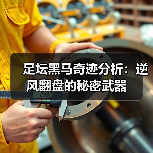 足坛黑马奇迹分析:逆风翻盘的秘密武器(图3) 足坛黑马奇迹分析:逆风翻盘的秘密武器(图3)