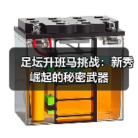 足坛升班马挑战：新秀崛起的秘密武器（图2）