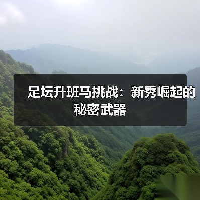 足坛升班马挑战：新秀崛起的秘密武器（图3）