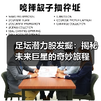 足坛潜力股发掘：揭秘未来巨星的奇妙旅程 - 玄熵西汉姆联