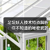 足坛妖人技术特点解析：你不知道的秘密武器（图3）